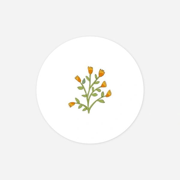 Histoire du jardin II