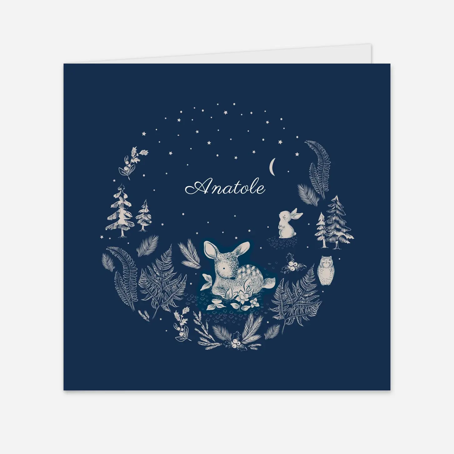 Faire-part naissance Histoire de Noël