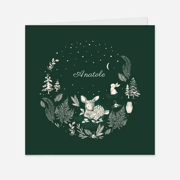 Histoire de Noël