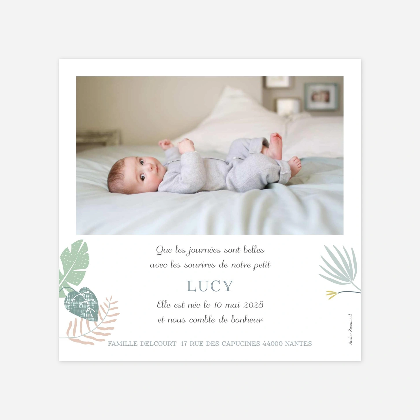 Faire-part naissance Jardin tropical