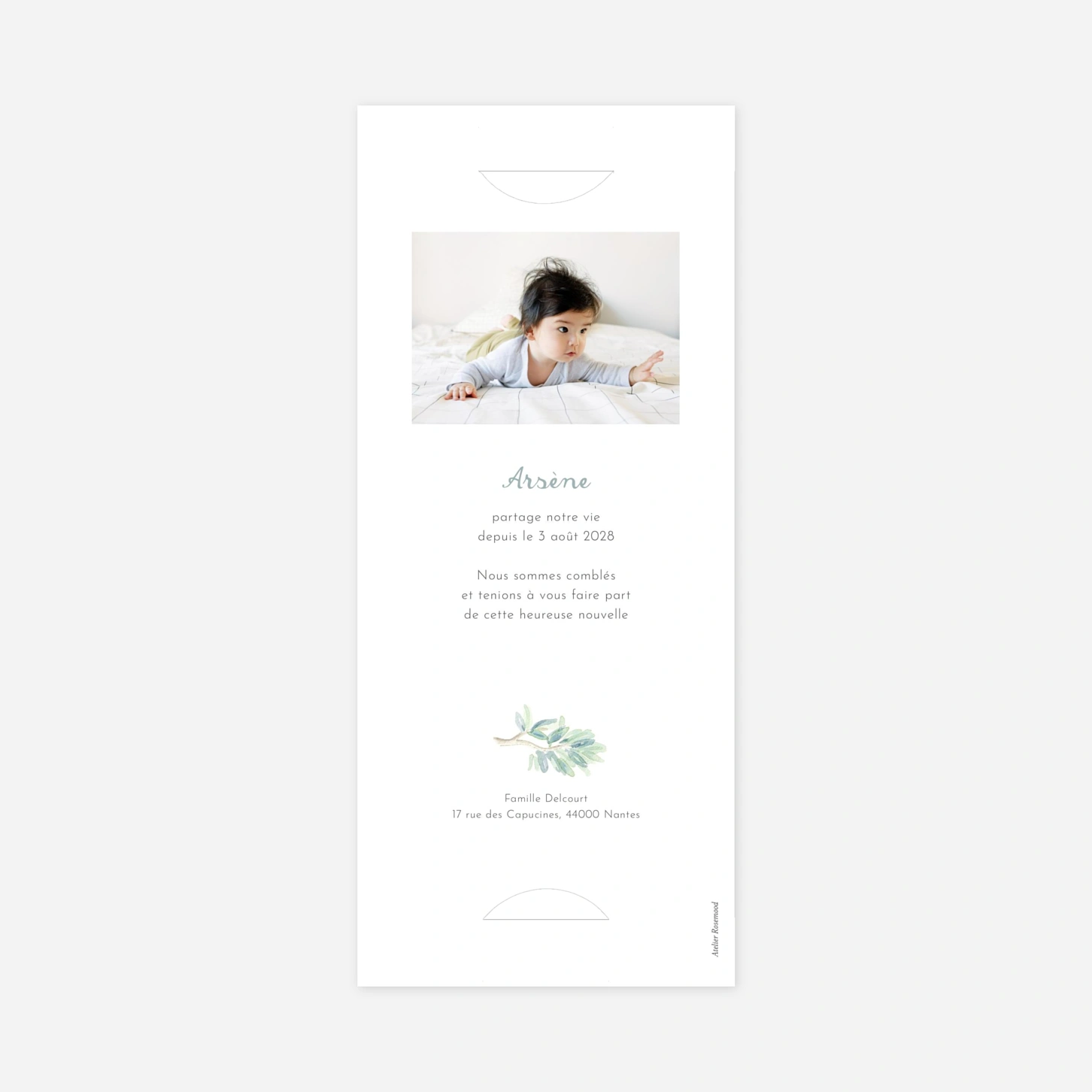 Faire-part naissance Koalas en famille