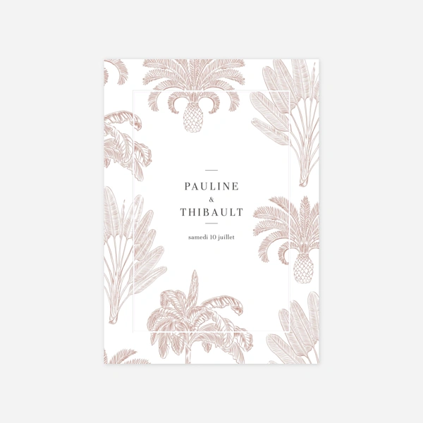 Oiseaux de paradis