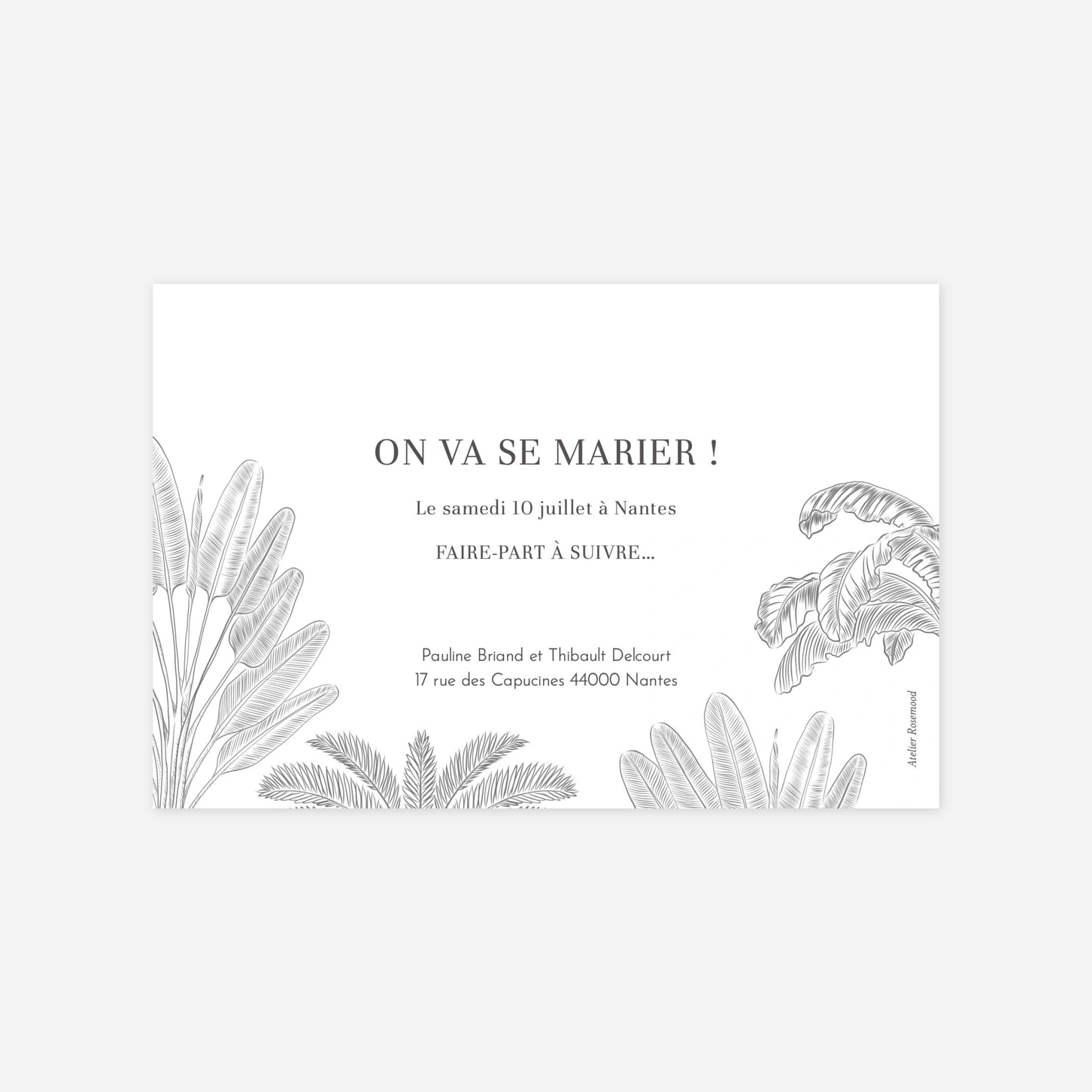 Save the date Oiseaux de paradis