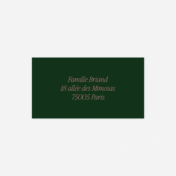 Palette audacieuse
