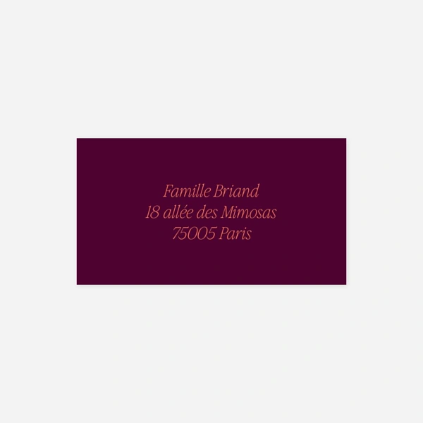 Palette audacieuse