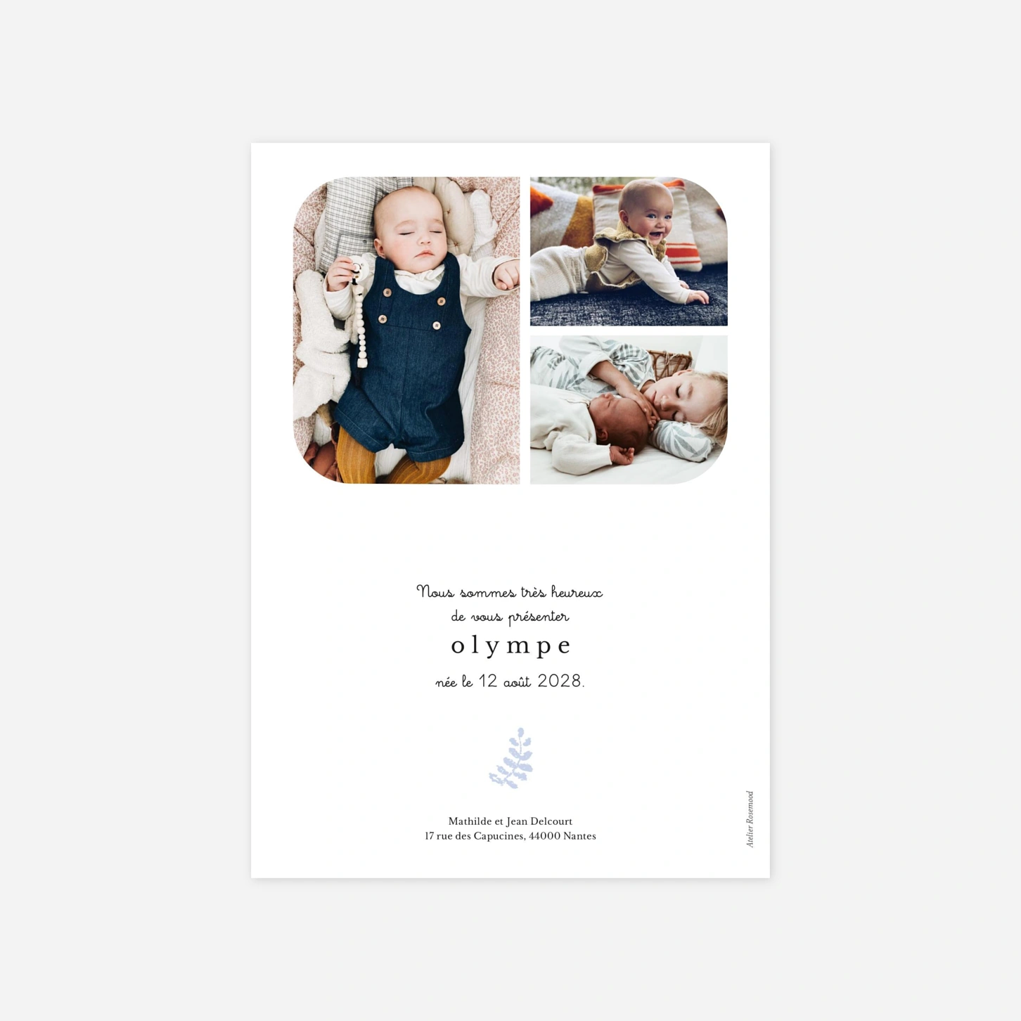 Faire-part naissance Pastel végétal
