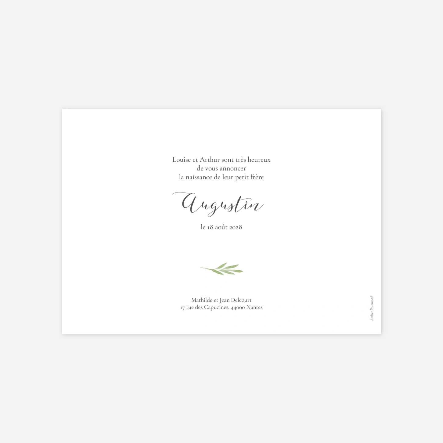 Faire-part naissance Petits brins