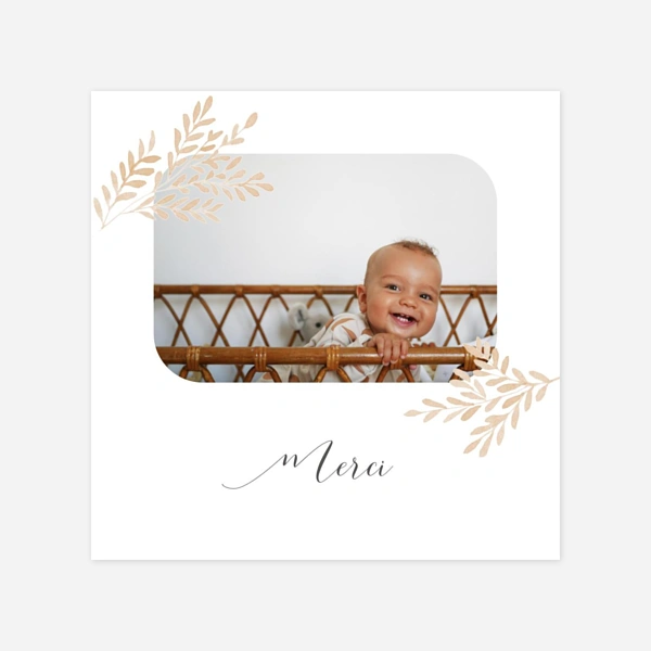 Petits brins