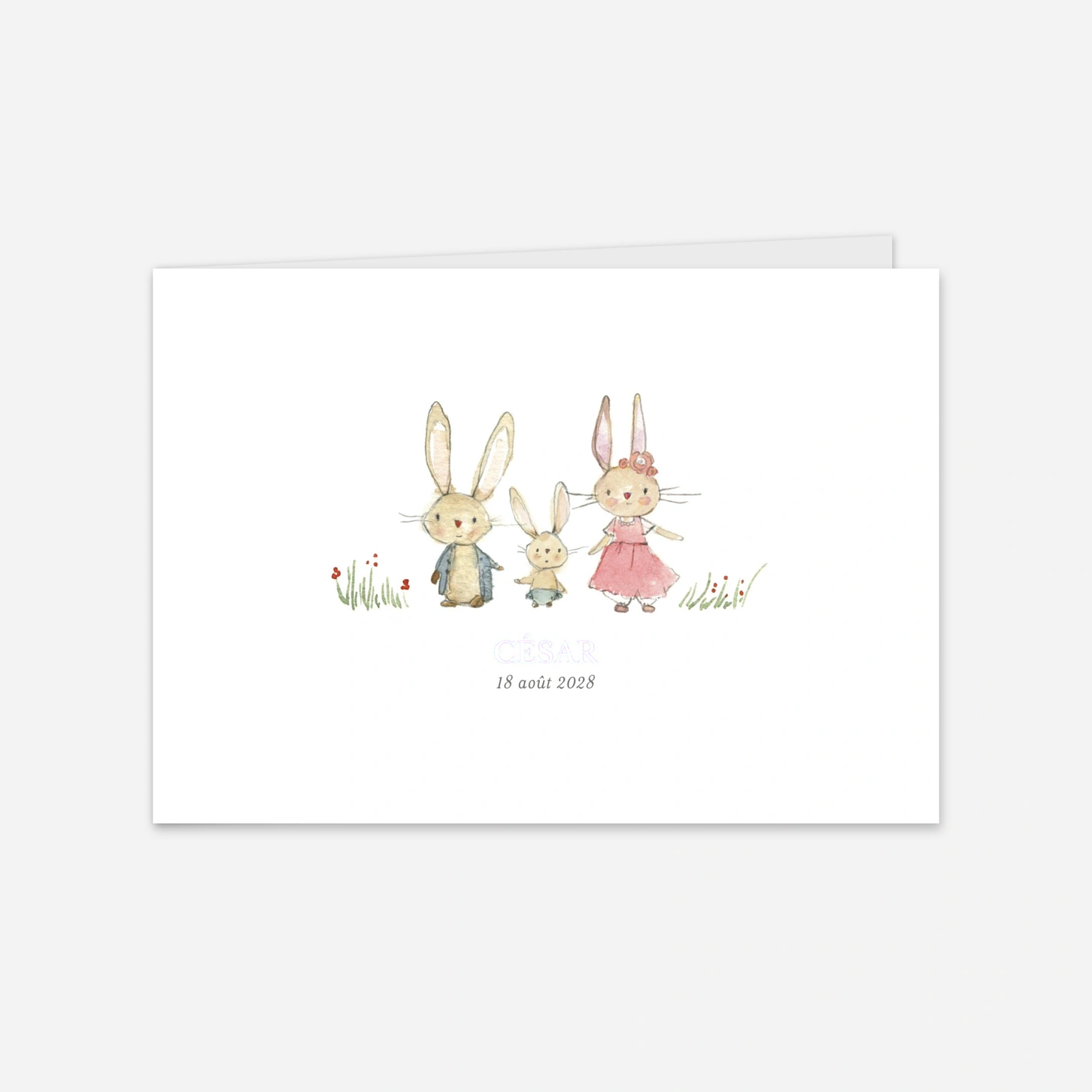 Faire-part naissance Petits lapins