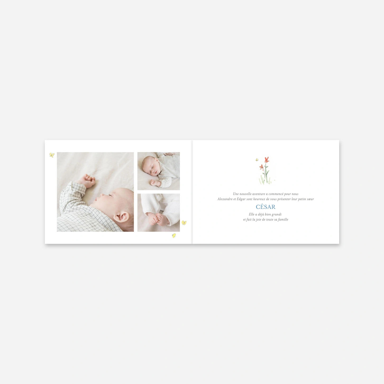 Faire-part naissance Petits lapins