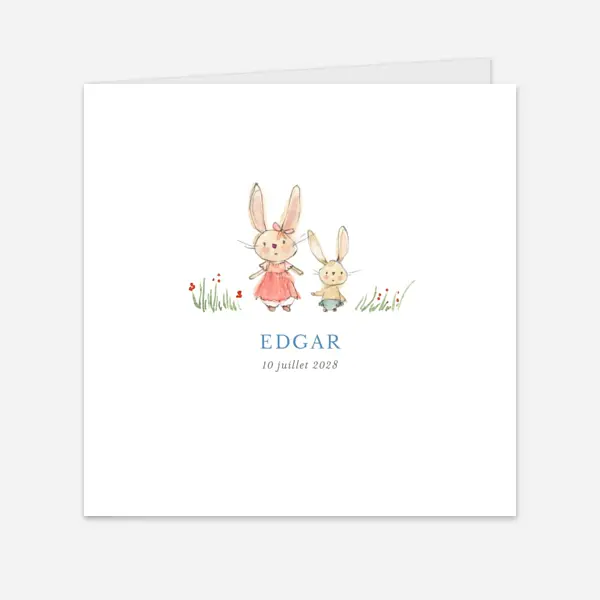 Petits lapins
