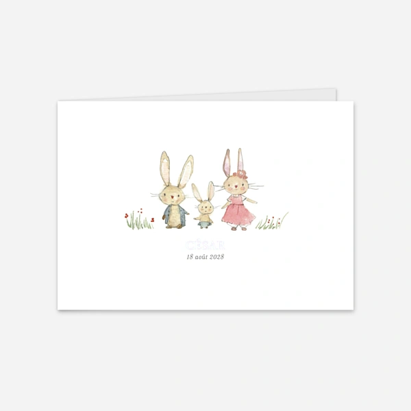 Petits lapins