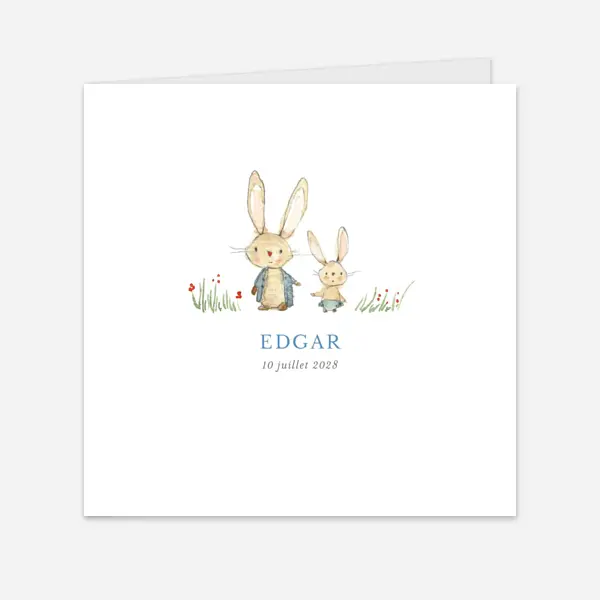 Petits lapins