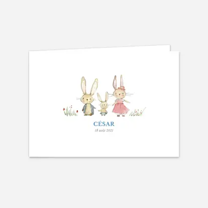 Famille Petits lapins (1 enfant)