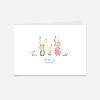 Famille Petits lapins