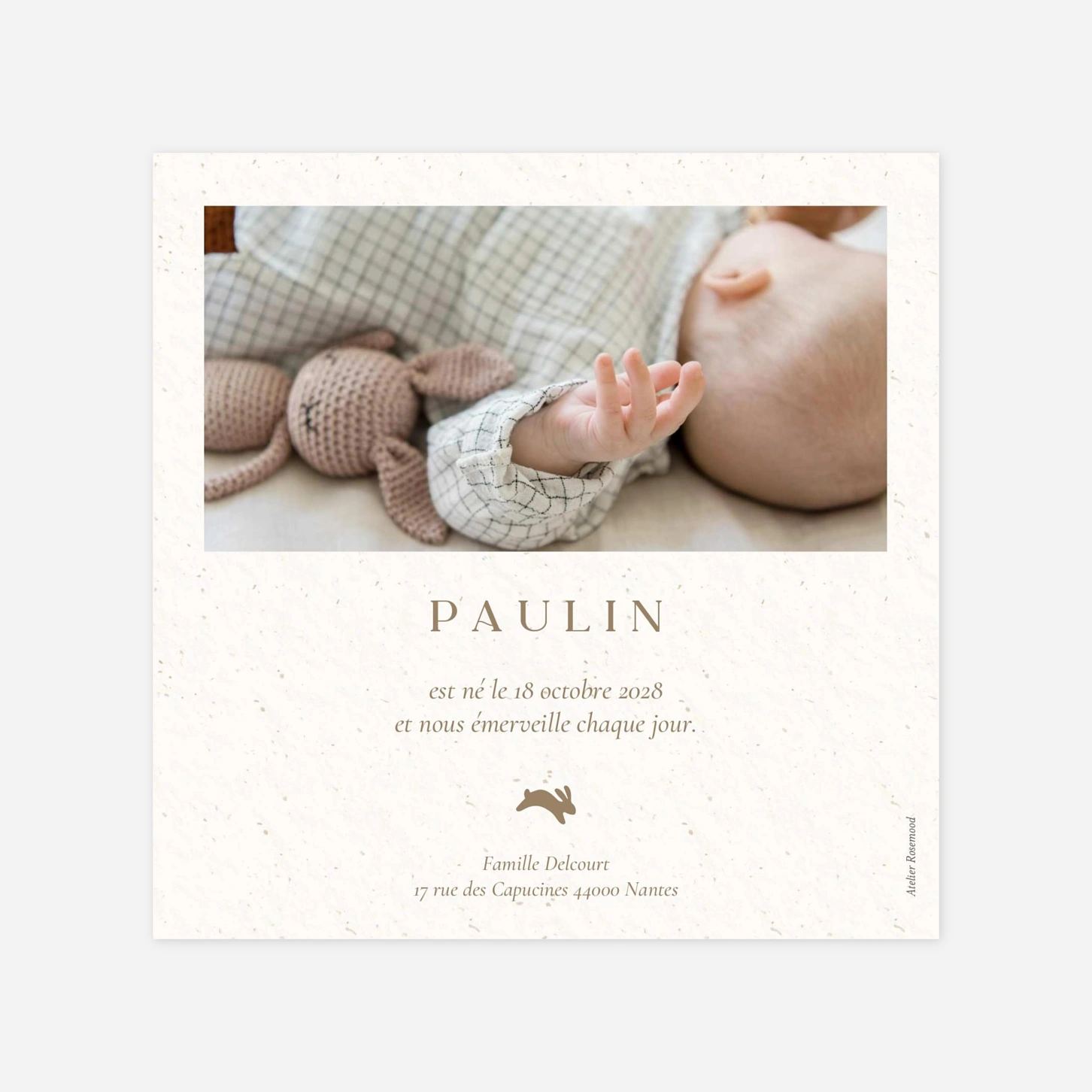 Faire-part naissance Petit lapereau