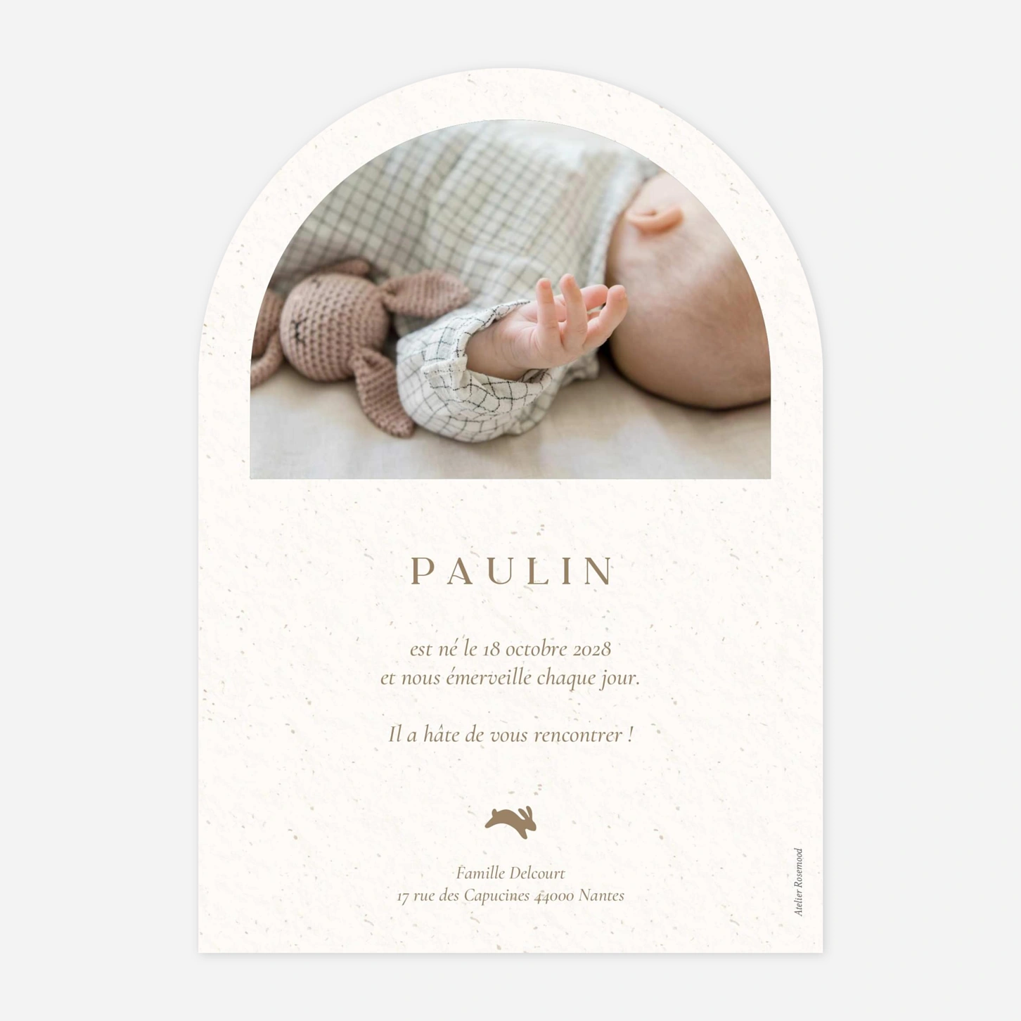 Faire-part naissance Petit lapereau