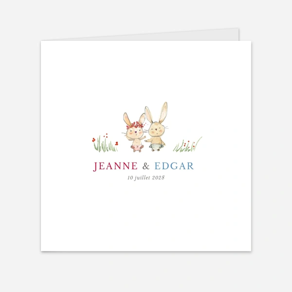 Petits lapins jumeaux