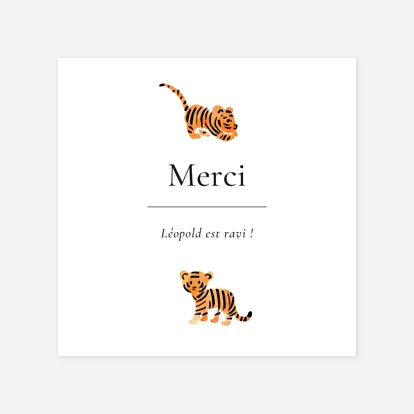 Petit tigre Petit tigre