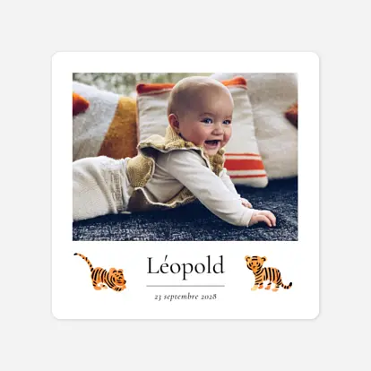Faire-part naissance Petit tigre