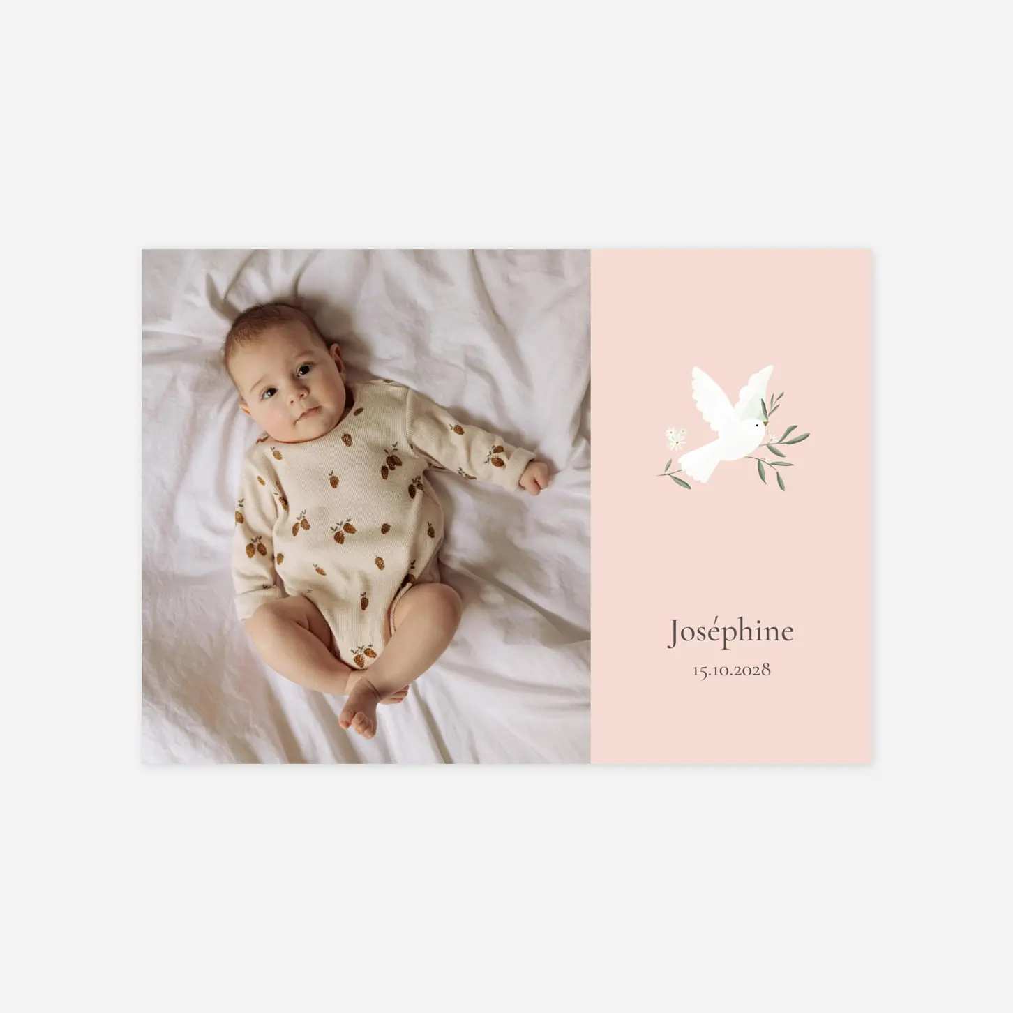 Faire-part naissance Petite colombe