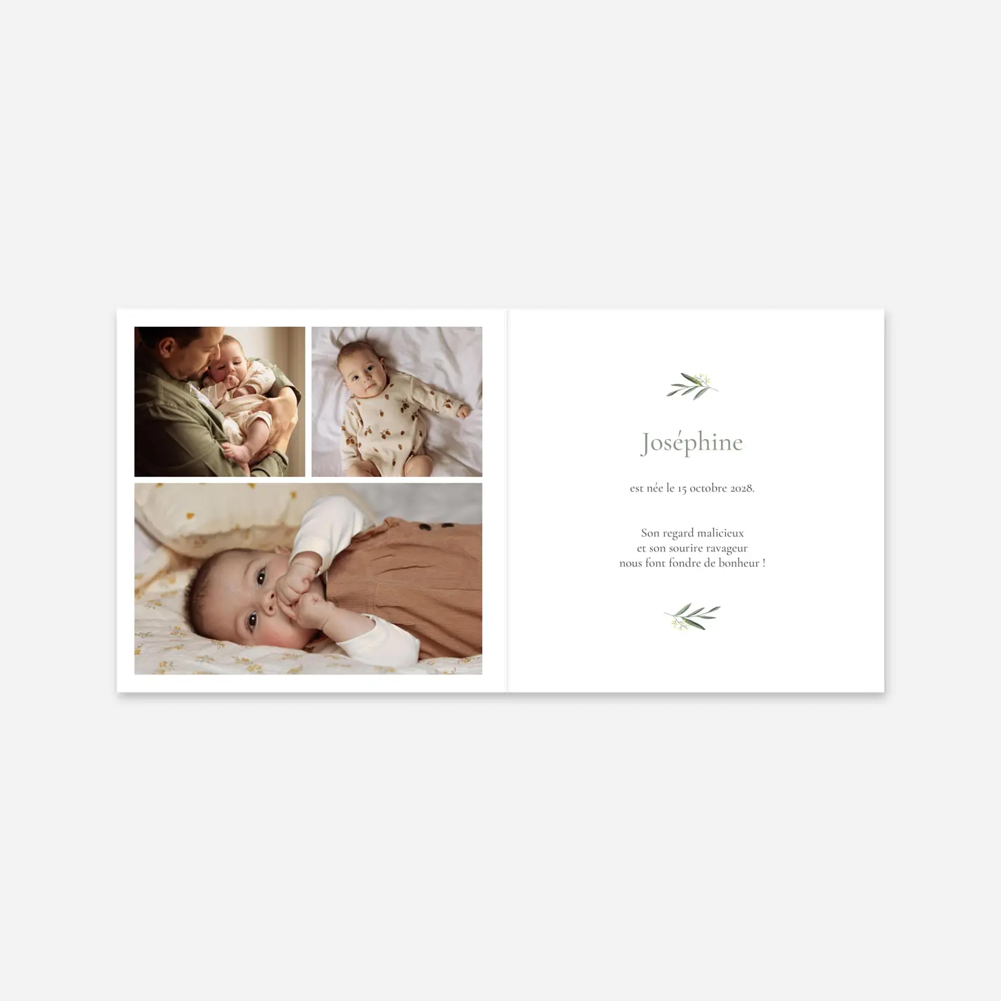 Faire-part naissance Petite colombe