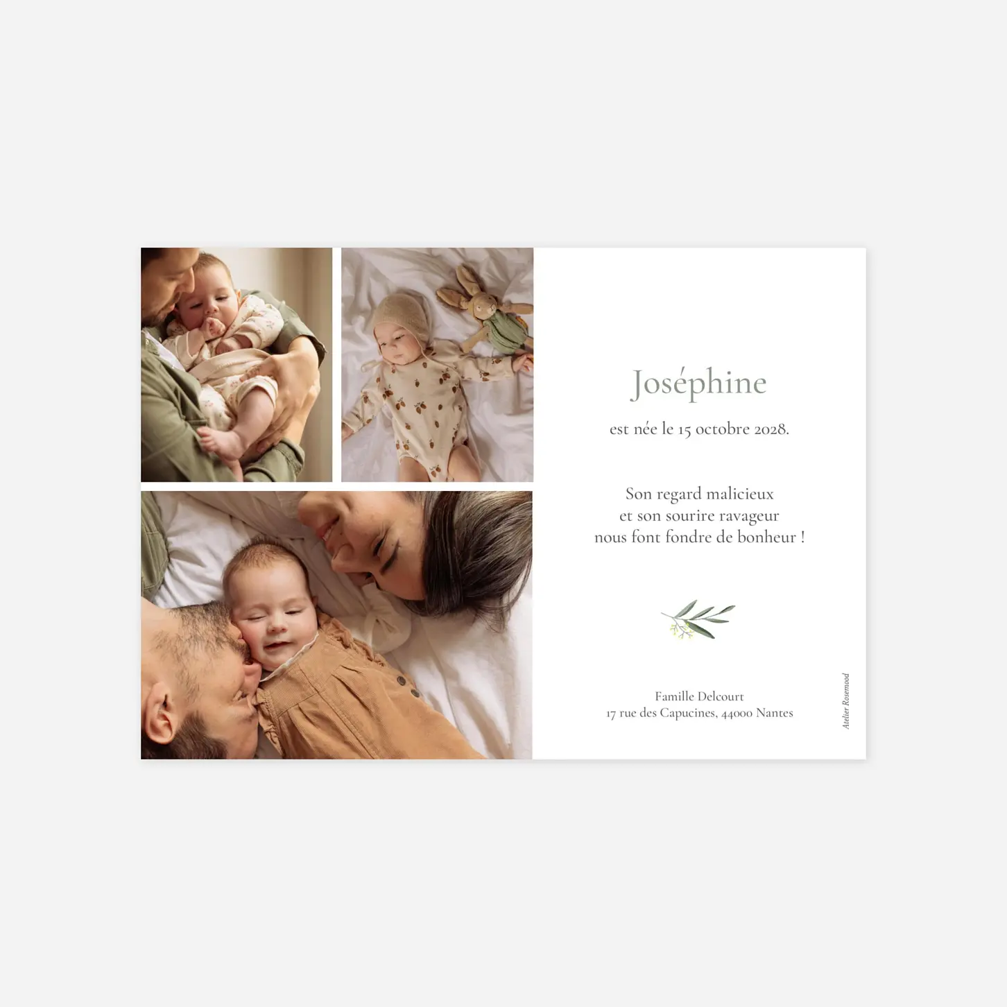 Faire-part naissance Petite colombe