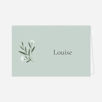 Marque-place Baptême Petite colombe