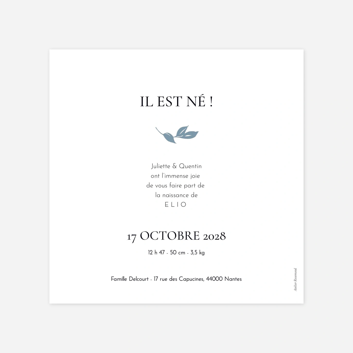 Faire-part naissance Petits instants