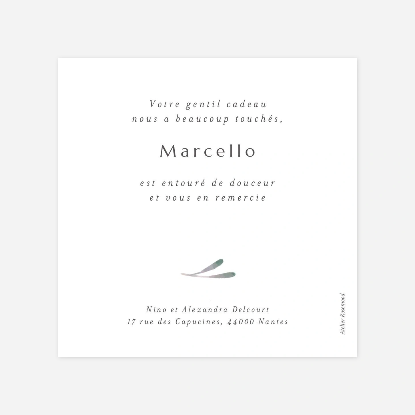 Carte remerciement naissance Picto végétal