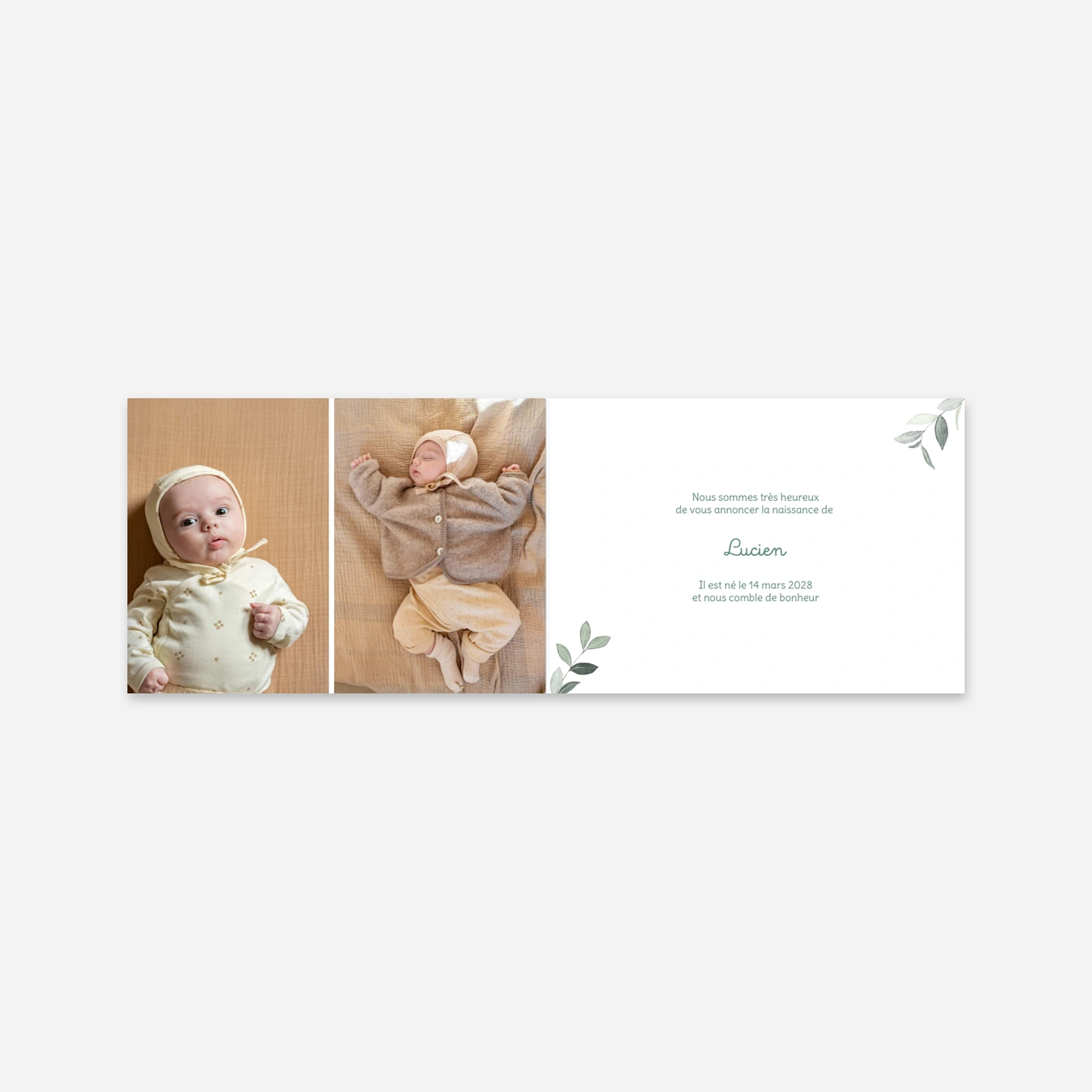 Faire-part naissance Petit Jardin