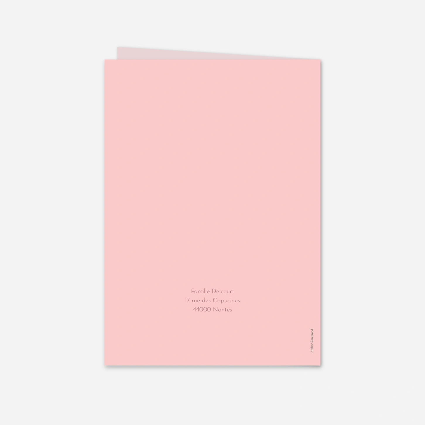 Faire-part naissance Premier voyage