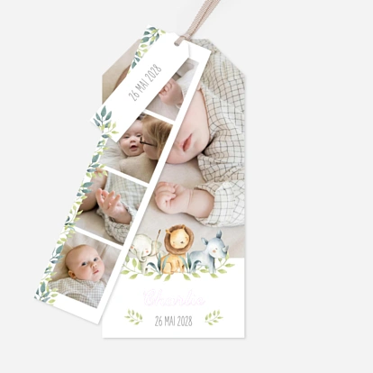 Faire-part naissance Petit explorateur