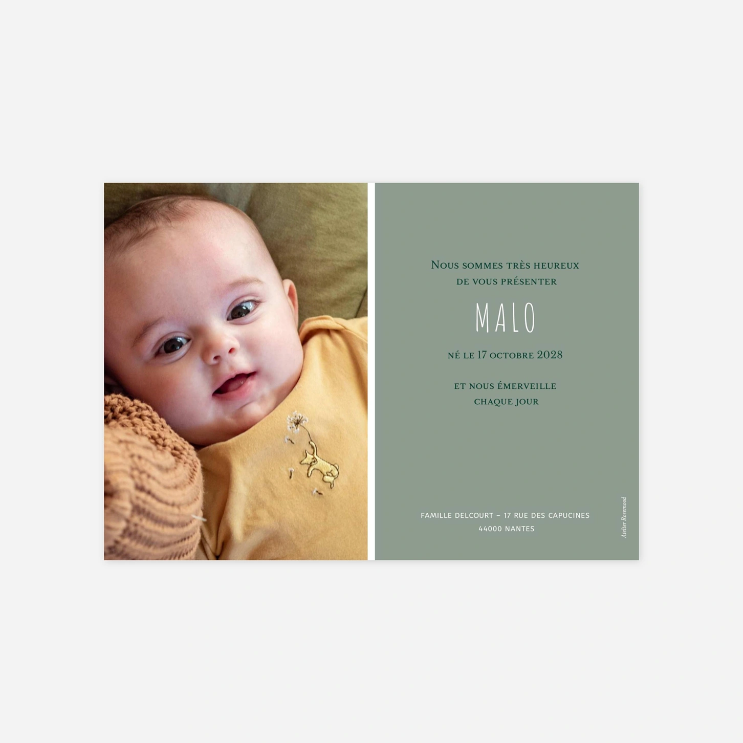 Faire-part naissance Rayon