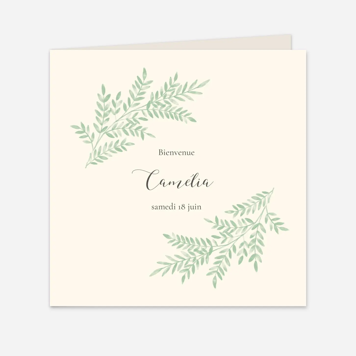 Faire-part naissance Ritournelle