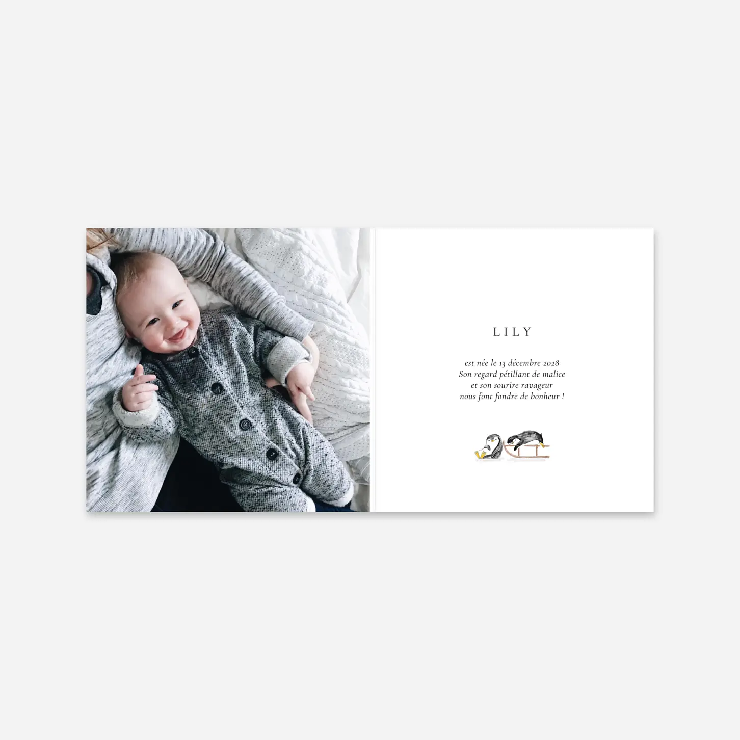 Faire-part naissance Sur la banquise
